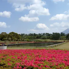 吉野公園展望台