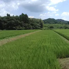 小里城跡