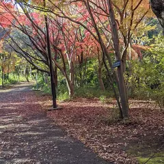 千葉県立北総花の丘公園 Ｂゾーン 講習室