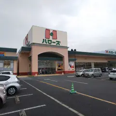 ハローズ 西条飯岡店