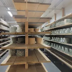 COWS Creamery