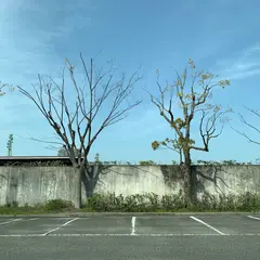 愛媛県庁西駐車場