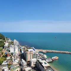 シグニエル釜山