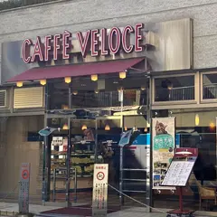 カフェ・ベローチェ 松濤店