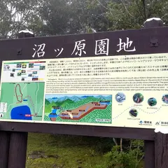 沼原駐車場