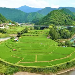 あらぎ島