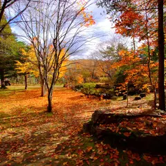 紅櫻公園