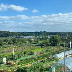 비비하우스