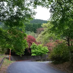 勝尾寺園地 無料駐車場