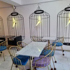 Cafe Layer Studio