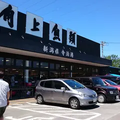 角上魚類 川口店