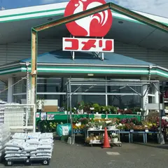 コメリハード＆グリーン 藤沢用田店