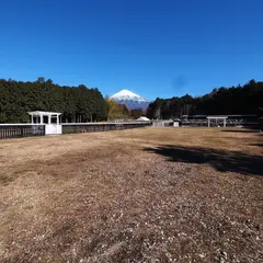 ドッグラン石原
