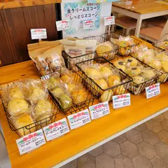 COCORU