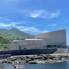 男鹿水族館GAO駐車場