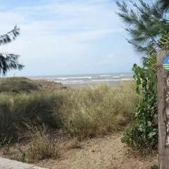 巡海宮
