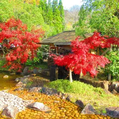 香川用水記念公園