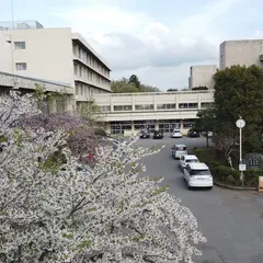 千葉県立若松高等学校