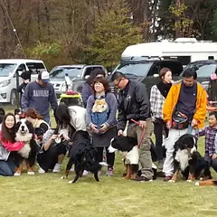 ＤｏｇＲｕｎ＆Ｃａｆｅのまでぃっく