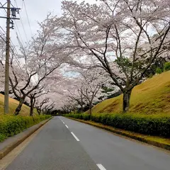 中部池田記念墓地公園
