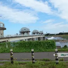 布田