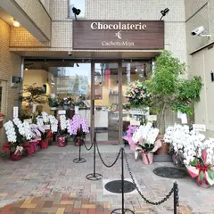 Cachette Miya カシェットミヤ