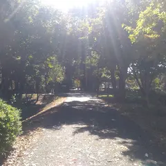 北総千葉県立 花の丘公園Dゾーン