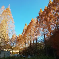 亀山湖畔公園（草川原地区）