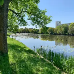 〒125-0053 東京都葛飾区鎌倉１丁目