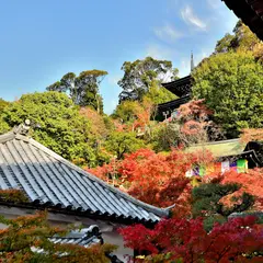 多宝塔