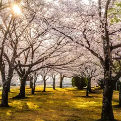 櫛形総合公園