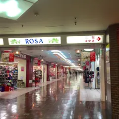 西堀ローサ