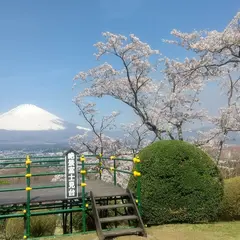 絶景富士見台