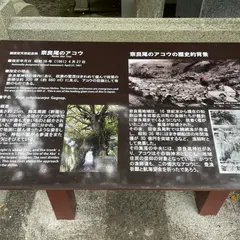 奈良尾神社