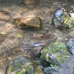 荒木町 奥の細道