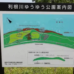 利根川ゆうゆう公園 デイキャンプ広場
