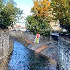 中野区立江古田公園