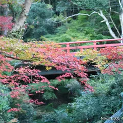 もみじ谷公園