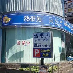 東京サンマリン