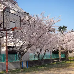 下奈良公園
