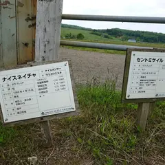 渡辺牧場