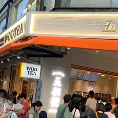 五桐号WooTEA