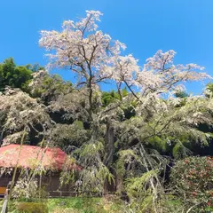 雪村庵