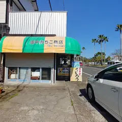 田中みちこ商店