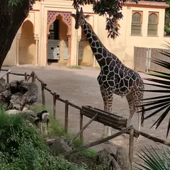 ローマ動物園