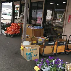 きんちゃん