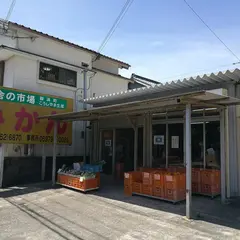 みかん直売 田舎の市場 那智勝浦店