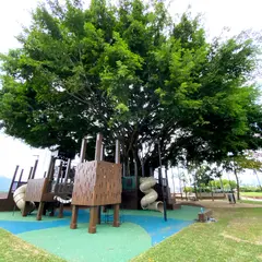 Fig Tree Play Ground