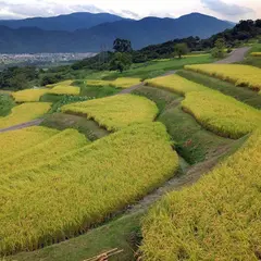 田毎の月