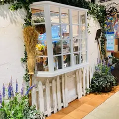 どんぐり共和国 キャナルシティ博多店